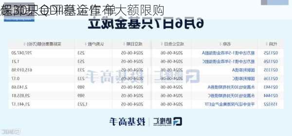 保障基金平稳运作 单
超30只QDII基金宣布大额限购