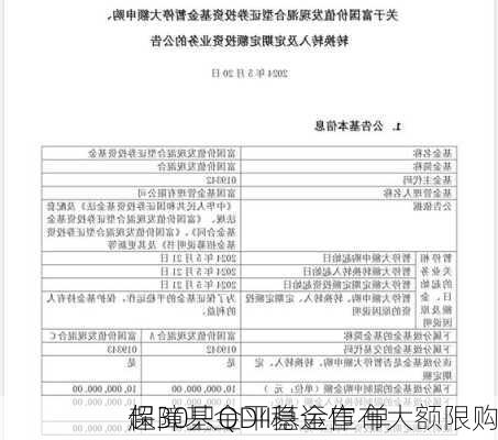 保障基金平稳运作 单
超30只QDII基金宣布大额限购