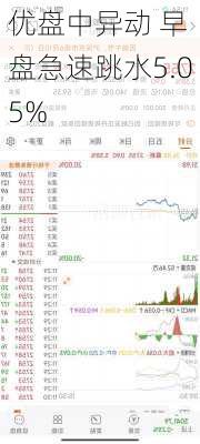 
优盘中异动 早盘急速跳水5.05%