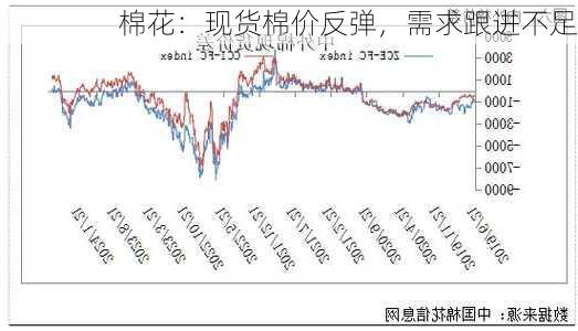 棉花：现货棉价反弹，需求跟进不足