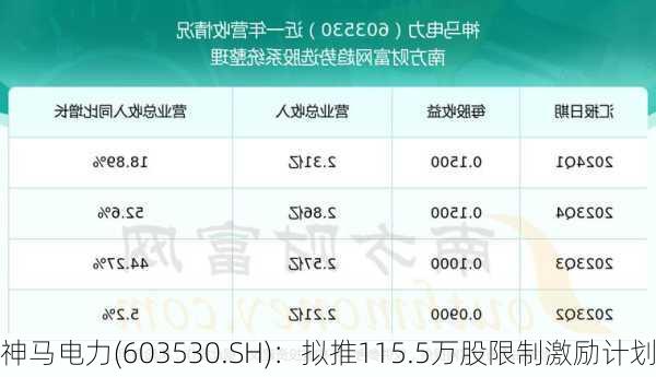 神马电力(603530.SH)：拟推115.5万股限制激励计划