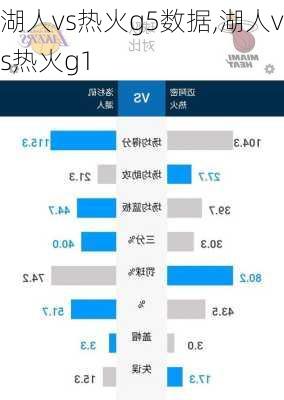 湖人vs热火g5数据,湖人vs热火g1