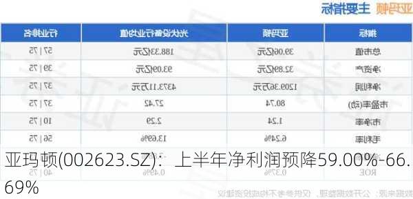 亚玛顿(002623.SZ)：上半年净利润预降59.00%-66.69%