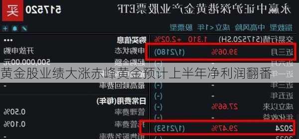黄金股业绩大涨赤峰黄金预计上半年净利润翻番