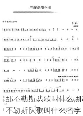 那不勒斯队歌叫什么,那不勒斯队歌叫什么名字