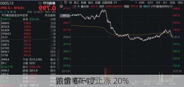 铂金 ETF 
激增 44.4 万
，价格一度上涨 20%