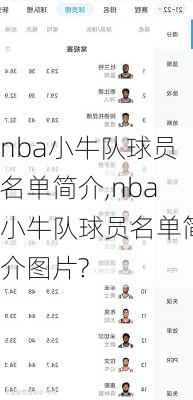 nba小牛队球员名单简介,nba小牛队球员名单简介图片?