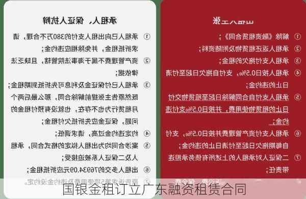 国银金租订立广东融资租赁合同