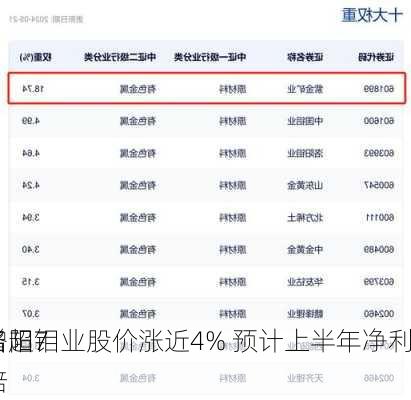 洛阳钼业股价涨近4% 预计上半年净利
增超7倍