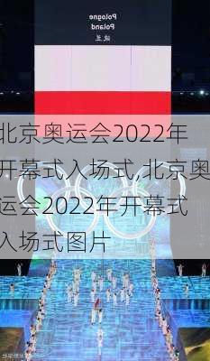 北京奥运会2022年开幕式入场式,北京奥运会2022年开幕式入场式图片