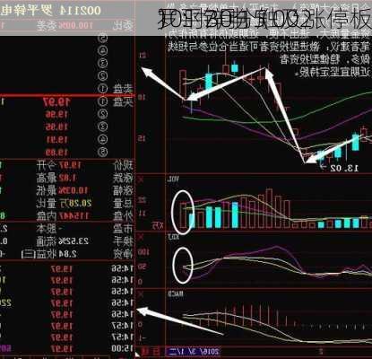 罗平锌电（002
）：7月15
10时30分触及涨停板