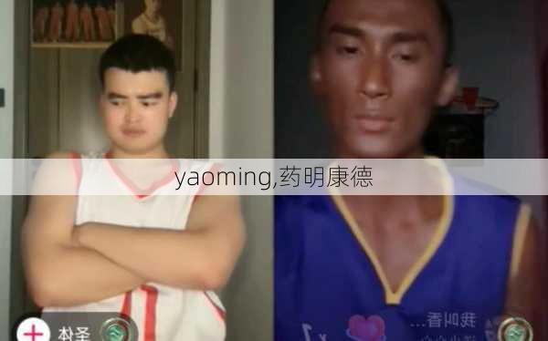 yaoming,药明康德