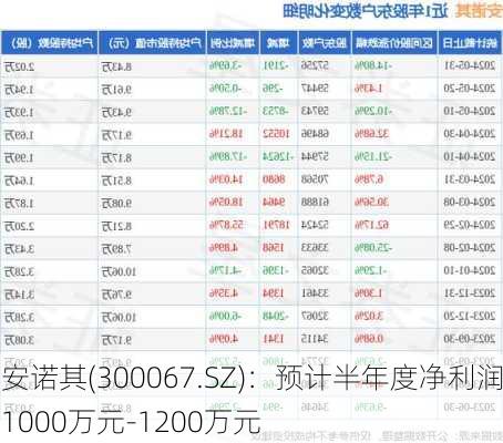 安诺其(300067.SZ)：预计半年度净利润1000万元-1200万元