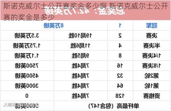 斯诺克威尔士公开赛奖金多少啊,斯诺克威尔士公开赛的奖金是多少