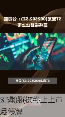 ST鼎龙(00
2.SZ)将被终止上市 7月17
起停牌