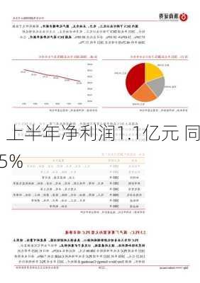 科远智慧：上半年净利润1.1亿元 同
增长153.55%