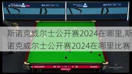 斯诺克威尔士公开赛2024在哪里,斯诺克威尔士公开赛2024在哪里比赛