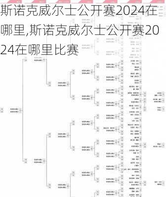 斯诺克威尔士公开赛2024在哪里,斯诺克威尔士公开赛2024在哪里比赛