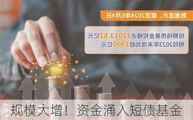 规模大增！资金涌入短债基金