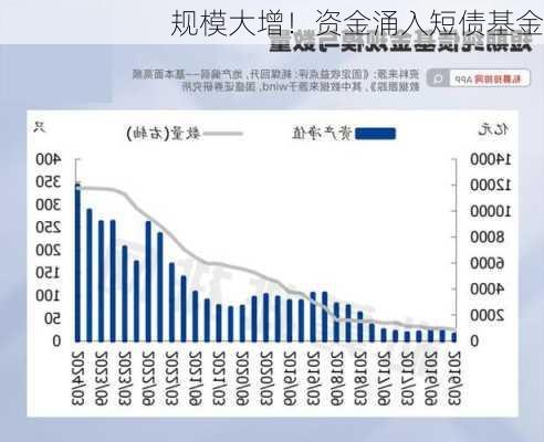 规模大增！资金涌入短债基金