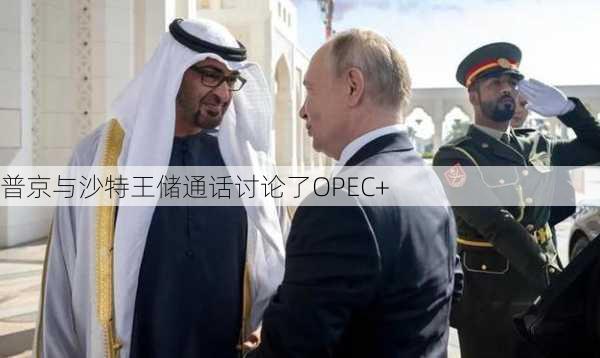 普京与沙特王储通话讨论了OPEC+
