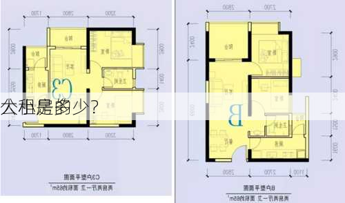 公租房的
大小是多少？