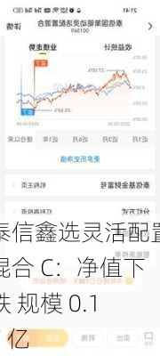 泰信鑫选灵活配置混合 C：净值下跌 规模 0.17 亿
