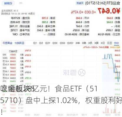 吃喝板块5
吸金超28亿元！食品ETF（515710）盘中上探1.02%，权重股利好不断！