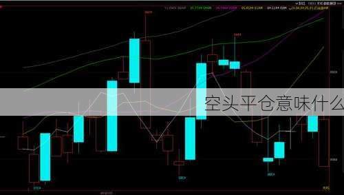 空头平仓意味什么