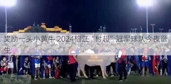 奖励一头小黄牛 2024榕江“村超”冠军球队今夜诞生