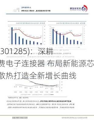 鸿
达(301285)：深耕消费电子连接器 布局新能源芯片散热打造全新增长曲线