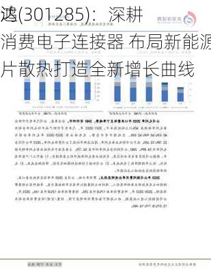 鸿
达(301285)：深耕消费电子连接器 布局新能源芯片散热打造全新增长曲线