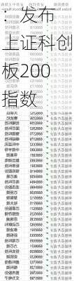 
：发布上证科创板200指数