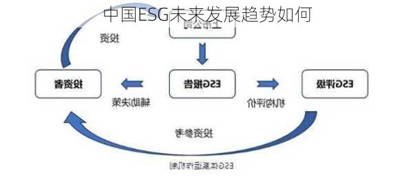 中国ESG未来发展趋势如何