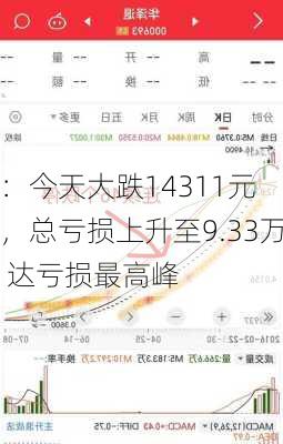 
：今天大跌14311元，总亏损上升至9.33万 达亏损最高峰