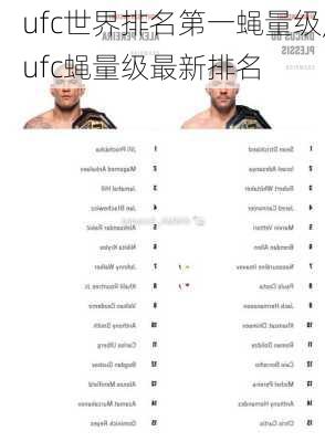 ufc世界排名第一蝇量级,ufc蝇量级最新排名