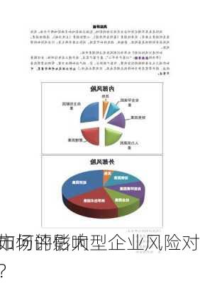 如何评估大型企业风险对
市场的影响？