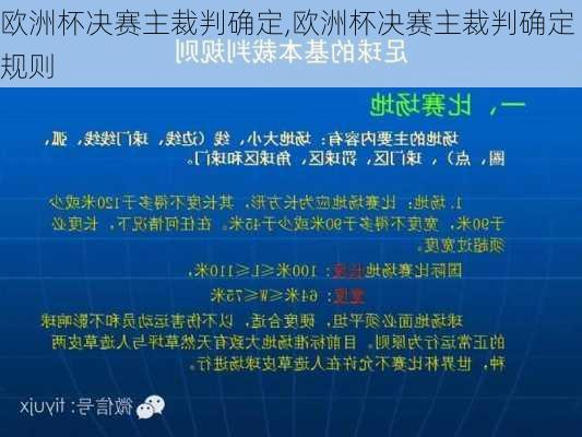 欧洲杯决赛主裁判确定,欧洲杯决赛主裁判确定规则