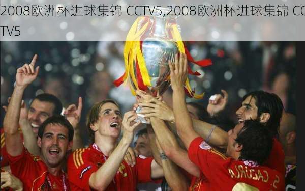 2008欧洲杯进球集锦 CCTV5,2008欧洲杯进球集锦 CCTV5