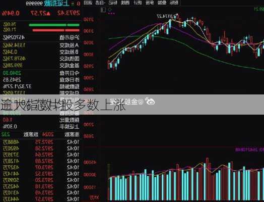 
三大指数均
逾1% 芯片股多数上涨