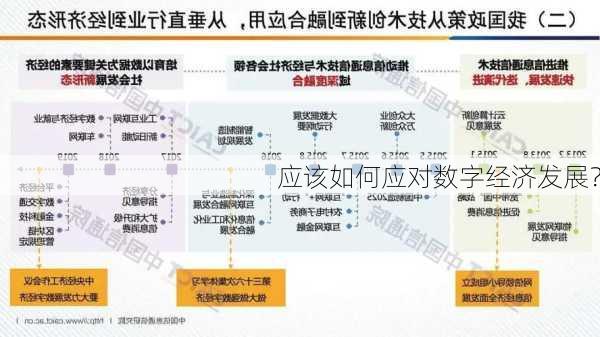 应该如何应对数字经济发展？