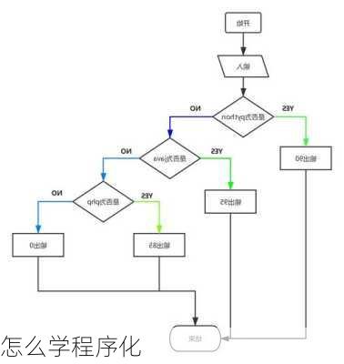 怎么学程序化
