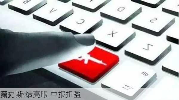 赛力斯：
深化 业绩亮眼 中报扭盈