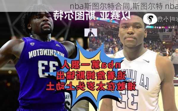 nba斯图尔特合同,斯图尔特 nba