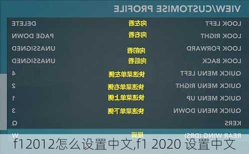 f12012怎么设置中文,f1 2020 设置中文