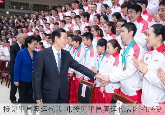 接见平昌奥运代表团,接见平昌奥运代表团的感受