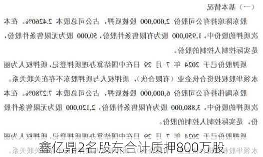 鑫亿鼎2名股东合计质押800万股