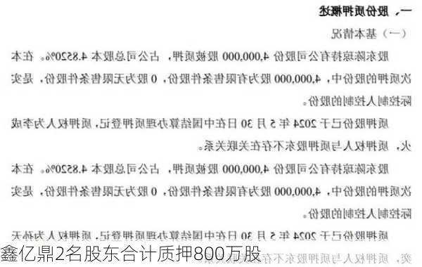 鑫亿鼎2名股东合计质押800万股