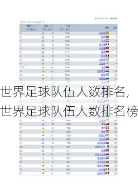 世界足球队伍人数排名,世界足球队伍人数排名榜