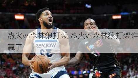 热火vs森林狼打架,热火vs森林狼打架谁赢了